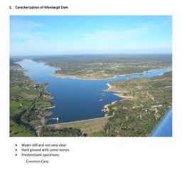 Montargil 2013-HAI ROMANIA!!!